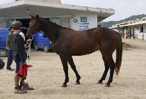 ��ſ����� (JEULGEOUN JILJU) ����