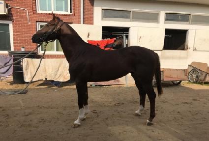 ��糪��Ʈ ����