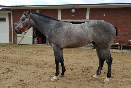 �����ǿ��� ����