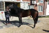 ���� (SEOKJEONG) ����