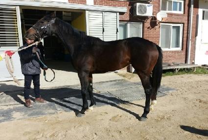 ���� ����