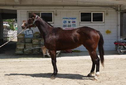 ���Ϸ�Ĺ ����