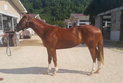 ���ǵ��� ����