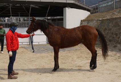 �ε�Ĺ ����