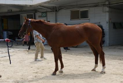 �뽺����Ʈ ����