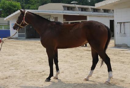 ������Ʈ���� ����