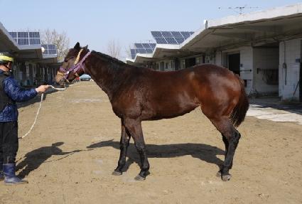 �̱ۼ� ����