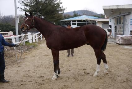 ���������� ����