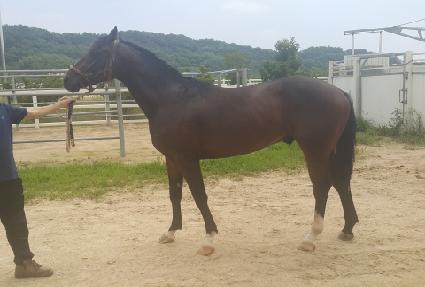 ���Ҹ� ����