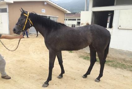 �ؼ���Ÿ ����