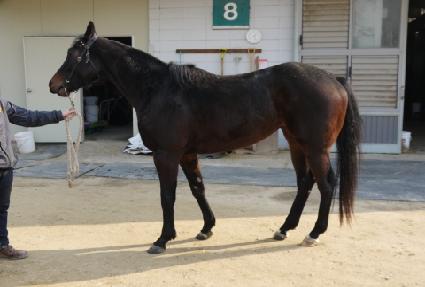 ����Ű���� ����