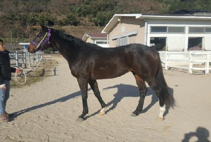 ��Ű��� ����