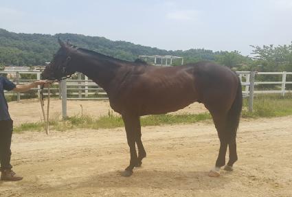 ���̽��� ����