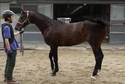 �޻���� ����