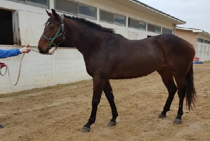 ���ν����� ����