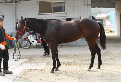 ���̵� ����