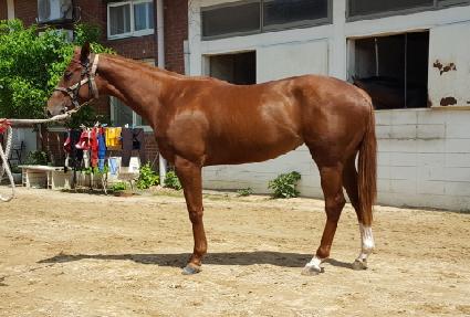 ȣ������ ����