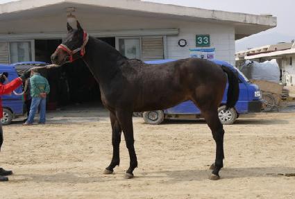 ������õ�� ����