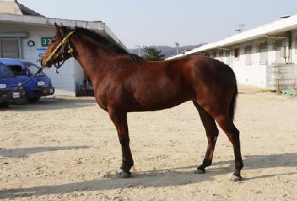 �������� ����