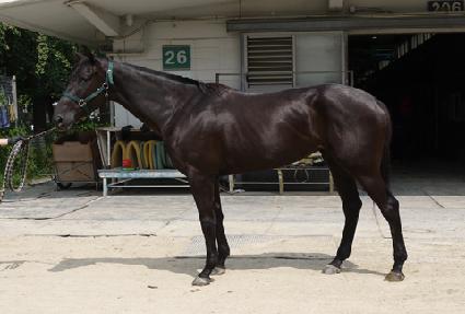 ����Ʈ�� ����