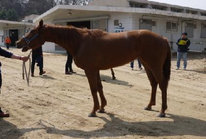 �µ����Ŀ� ����