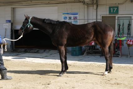 ��ķ�� ����