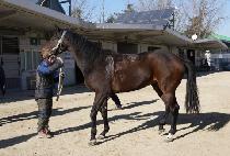 �Ͼطε� (ROCK AND ROAD) ����