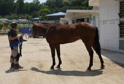 �����޸� ����