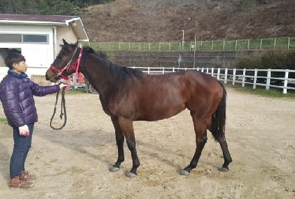 �����ǹ��� ����