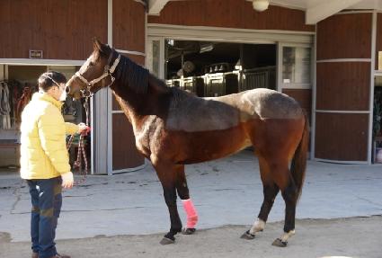 ����� ����