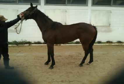 ���װ� ����