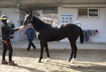 Ŭ���� ����