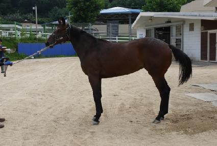 ���̻��� ����