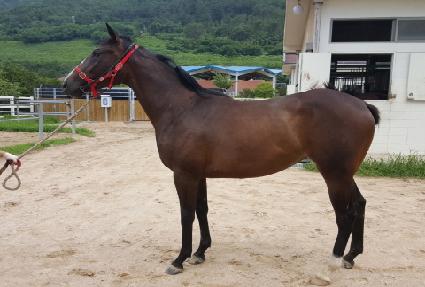 ��մ� ����