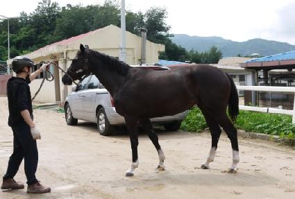 ���������� ����