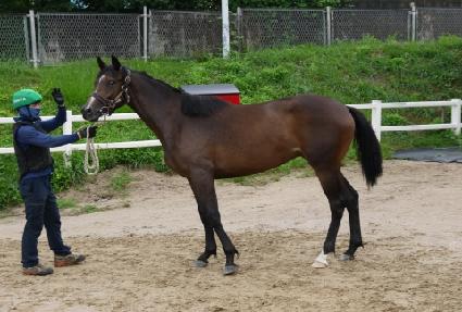 �����̺���Ʈ ����