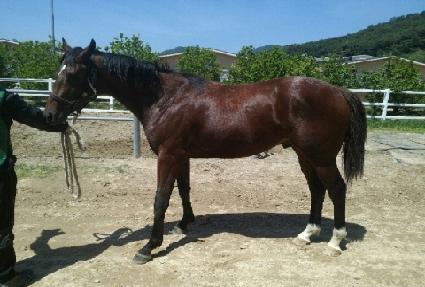 ����ŷ ����