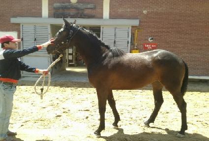 ��κ�ʽ� ����