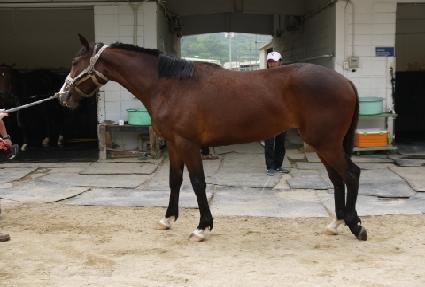 ��Ƽ�ط�� ����