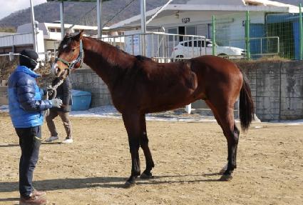 �ǽ�Ǯ������ ����