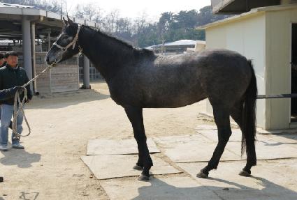 �Ͼط��� ����