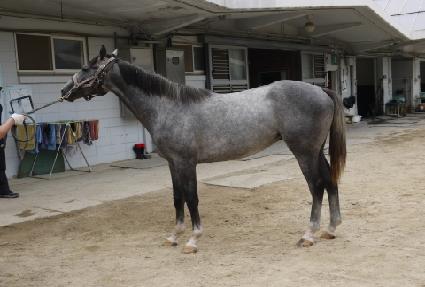 �����߳��� ����