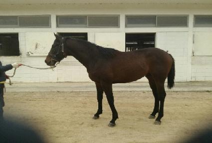 �ε��ŷ ����