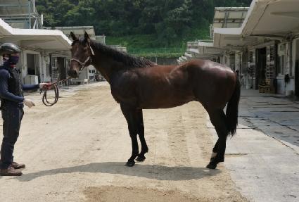 ���Ӵ��� ����