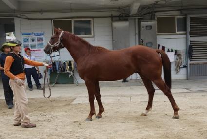 ���̽�ŷ ����