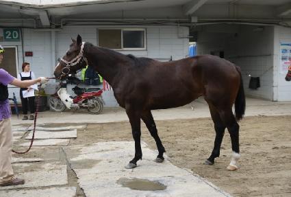 ������� ����