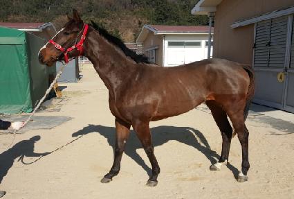 ����è�Ǿ� ����