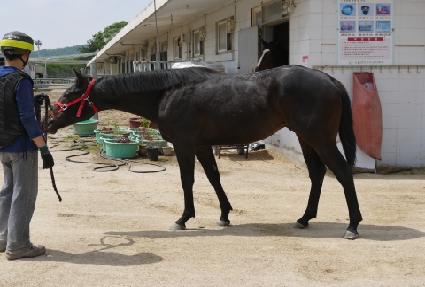 �츮���ູ ����