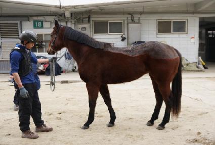 ����ȳ� ����