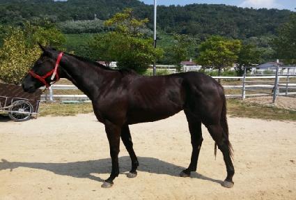 ���Ϸ���Ư�� ����